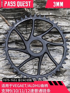 PASS QUEST 3mm Rotor曲柄 直装正负齿单盘Vegast Aldhu