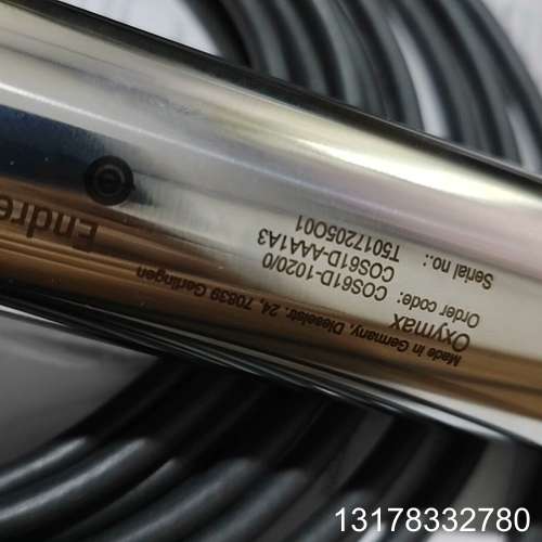 COS61D-AAA1A3E+H恩德豪斯溶解氧探