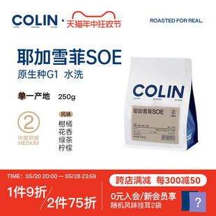 果丁丁水洗 柯林耶加雪菲SOE 250g 第二件半价 G1原生种咖啡豆