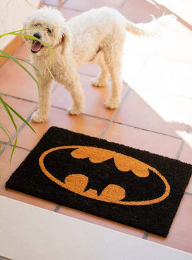 印度进口手工椰棕地垫进门口门厅入户门除尘蹭土家用门垫防滑脚垫