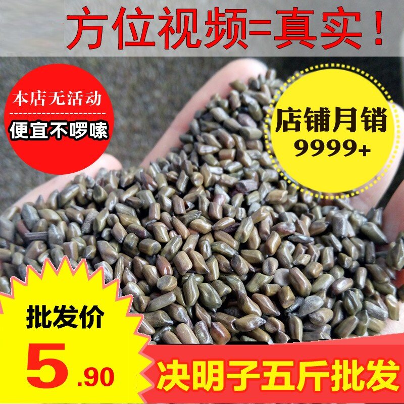 决明子500g做枕芯枕头