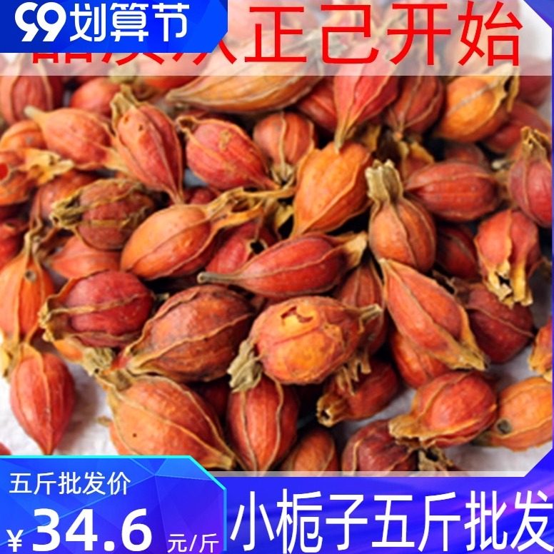小栀子500g 山栀子 红枝子黄栀子 中药材香料调料 正己干货大全