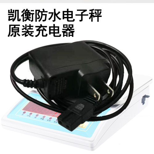 凯衡防水电子秤原装6V双孔充电器配件
