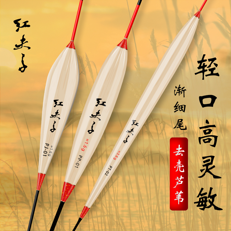 红夫子去壳芦苇醒目野钓鲫鲤鱼漂