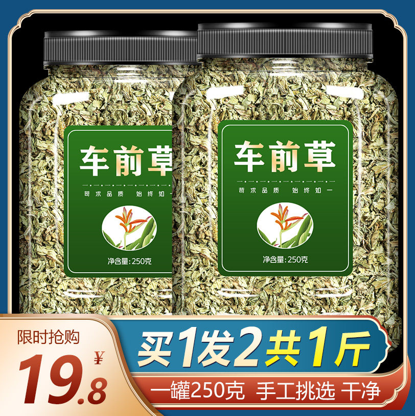 车前草干货中草药新鲜干非野生包邮车钱中药材金钱草袋泡茶车前子