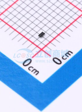 肖特基二极管 SDM05U20CSP-7 X3-WLB1006-2 DIODES(美台) 元器件