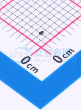 静电放电(ESD)保护器件 D5V0Q1B2LP3-7 DFN0603 DIODES(美台)