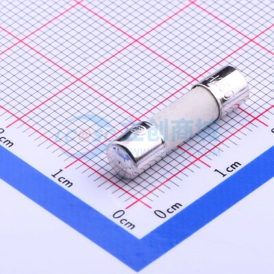 一次性保险丝 0216.250MXP D5xL20mm Littelfuse(力特) 原装