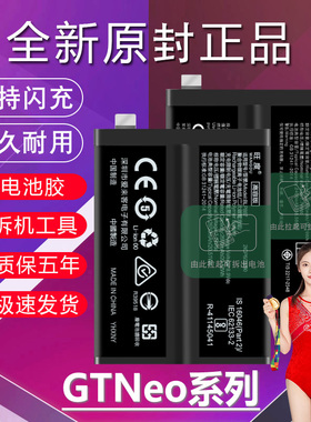 适用于真我GTneo电池原装RealmeGTneo2T闪速版gtneo3正品手机电板
