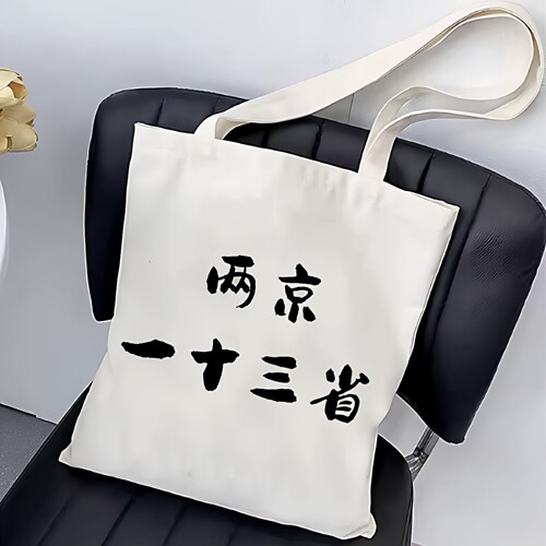 两京一十三省帆布袋大明王朝1566