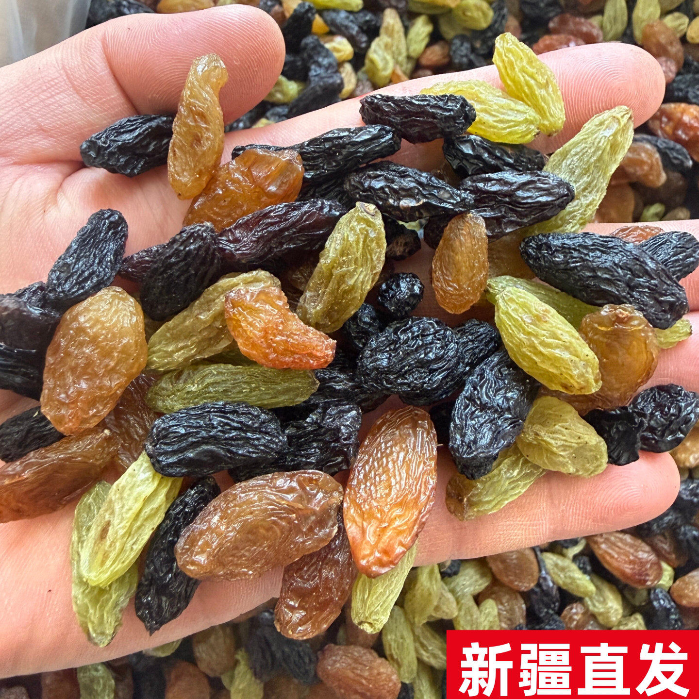 新货新疆特产吐鲁番葡萄干直发