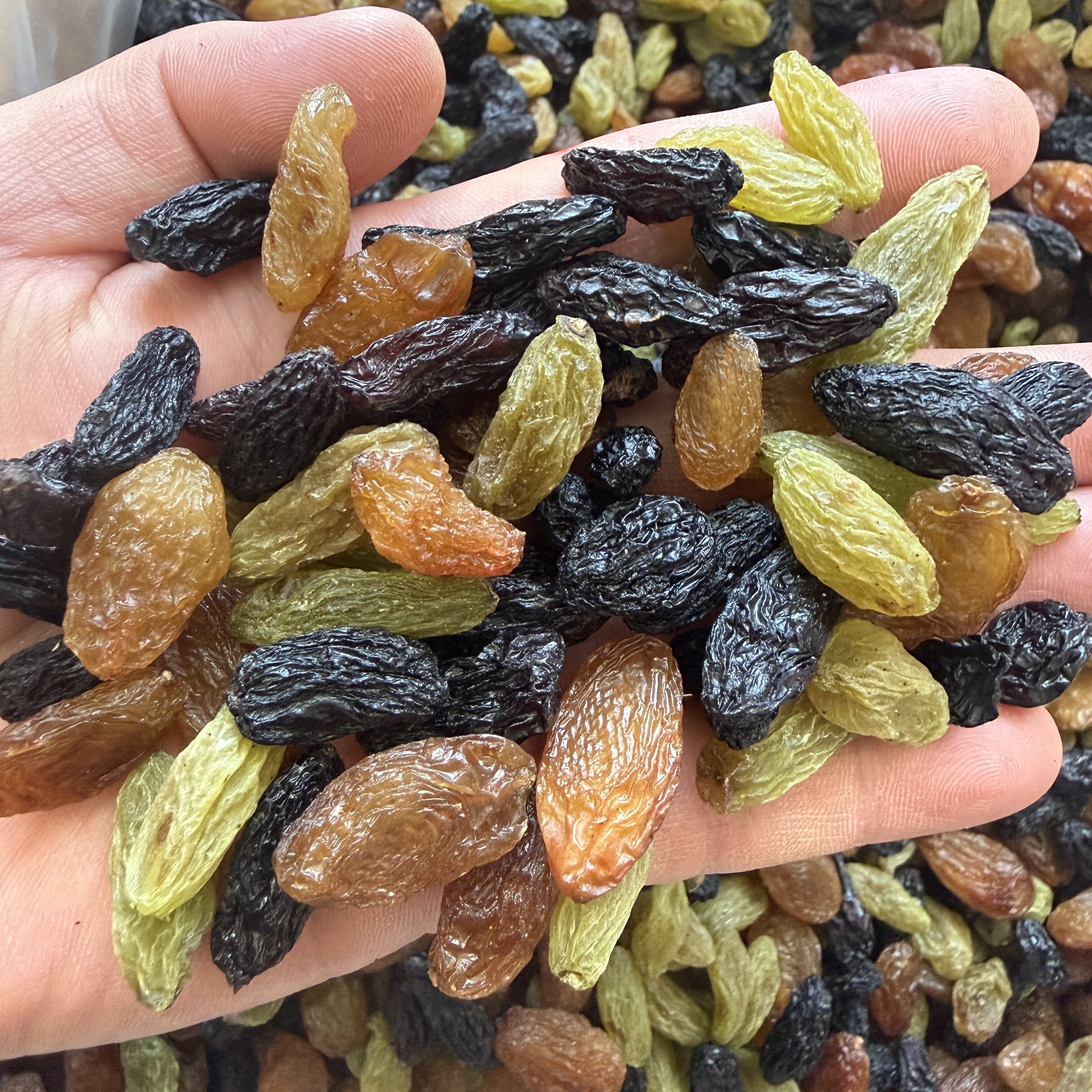 新货新疆特产吐鲁番葡萄干直发