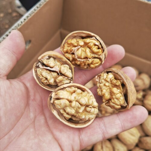 新疆薄皮核桃无漂白原生态2斤