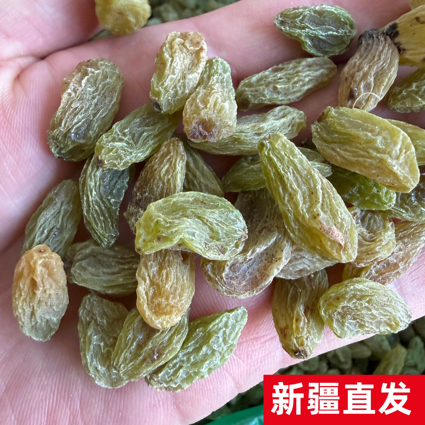 新货吐鲁番葡萄干北极王葡萄干