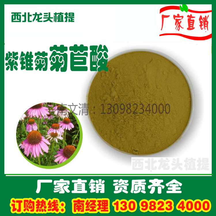 紫锥菊提取物 紫锥菊菊苣酸4% 紫锥菊粉 1kg厂家直销