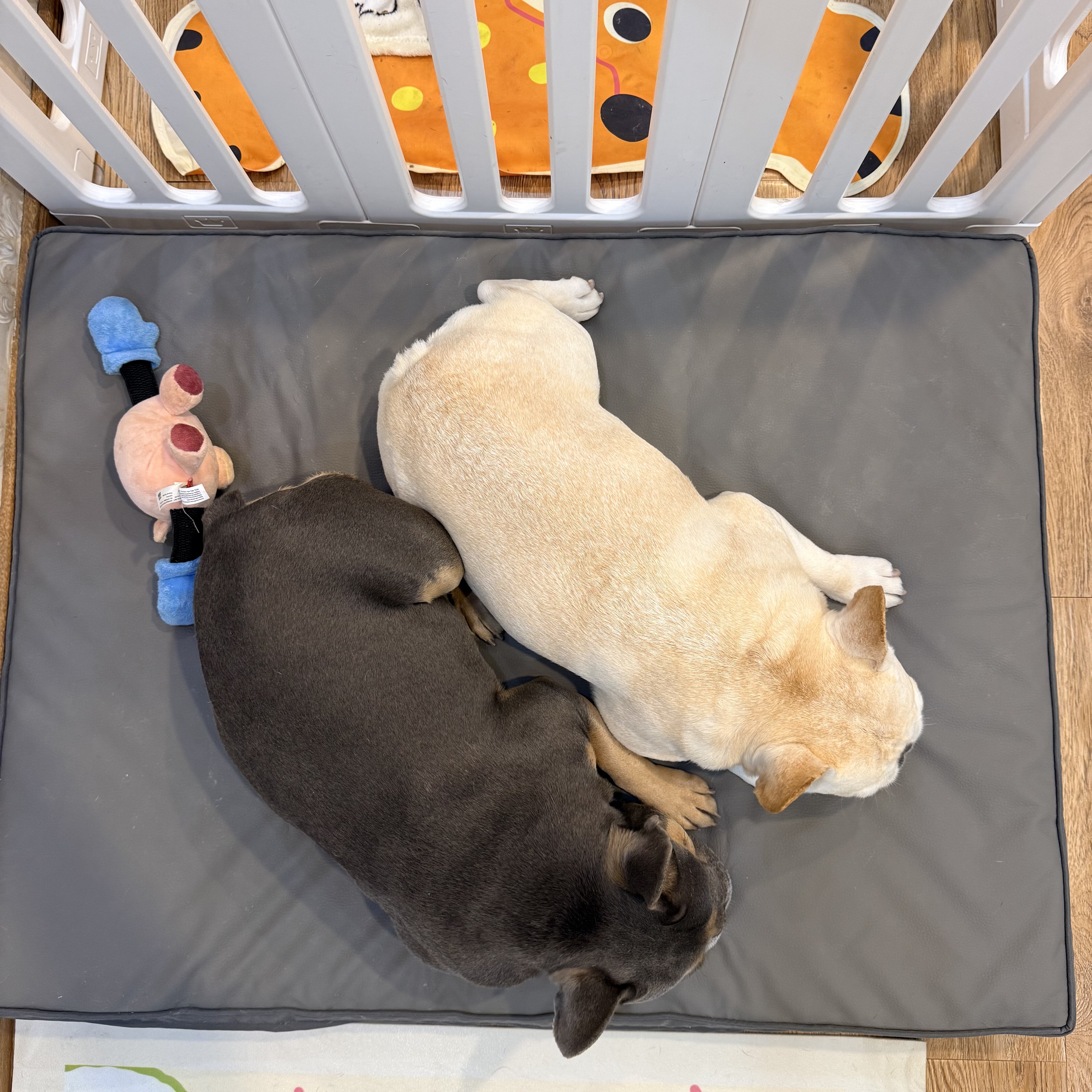 法斗八哥夏季狗窝双面狗垫子中大型犬四季通用防水可拆洗宠物沙发