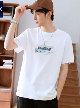 TEEK液氨丝光棉 冰丝凉感短袖T恤男轻奢休闲夏季冰感纯棉半袖衣服