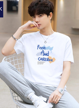 TEEK2026新款男款短袖t恤 夏季纯棉上衣青少年冰丝半袖潮牌体恤衫