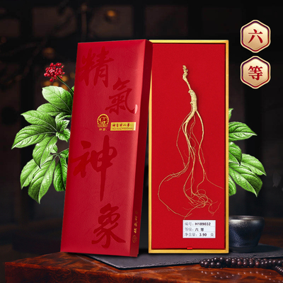 各具形态18年以上参龄长白上山参