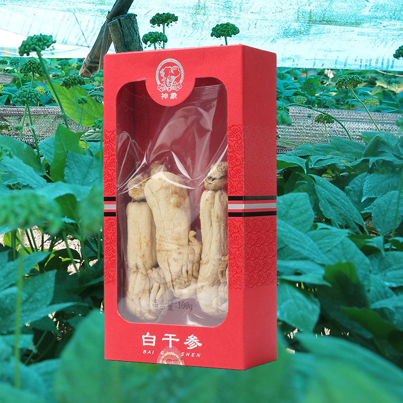 上药神象人参白干参75g去皮人参煲汤滋补温和朝白参古法白参