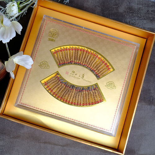 西藏那曲上药神象冬虫夏草