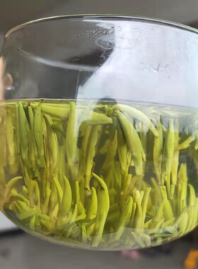2026年 春茶夏莲 千岛银针 明前绿茶 125克  兰花香 现货
