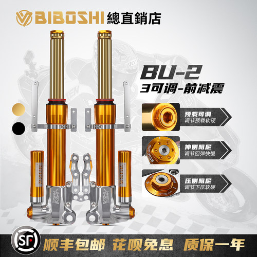 适用无极SR250GT直上前减震