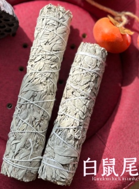 18cm天然鼠尾草室内香薰WhiteSage 正宗美国加州缓解情绪净化空气