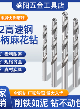 大连远东JEFF直柄麻花钻高速钢白磨钻高硬度打孔钻头木工塑料开孔