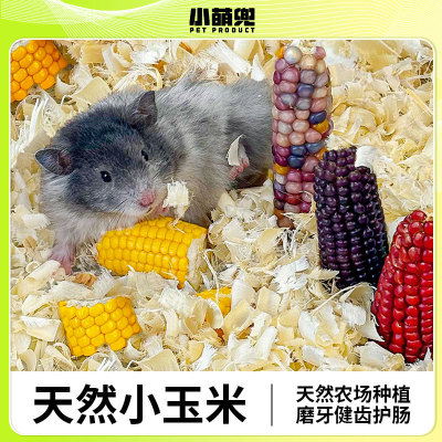 仓鼠粮食迷你小玉米仓鼠金丝熊兔子磨牙棒玉米兔子龙猫磨牙小玉米