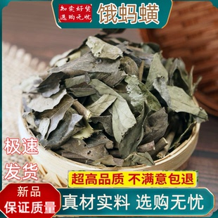 饿蚂蟥中药材小儿疳积草粘身草胃痛草红掌草山蚂蝗山角豆小槐花