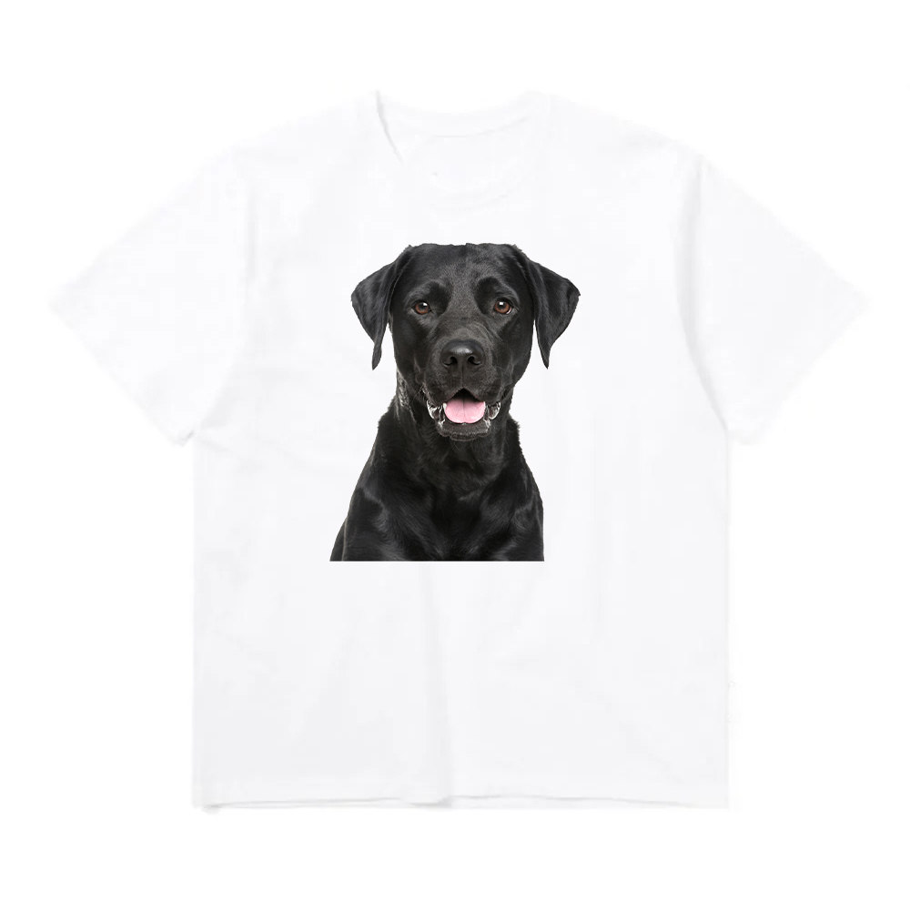 夏季街头罗威纳犬印花短袖图片