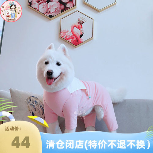 【清仓闭店】中大型犬萨摩金毛大狗小丑春秋保护髋关节四脚衣服 - 封面