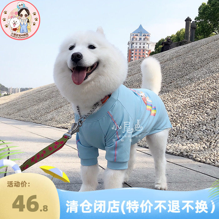 大狗狗夏日小马蓬蓬裙