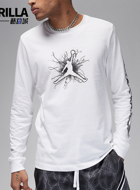 Nike/耐克正品JORDAN男士印花休闲圆领针织长袖T恤FN5973-100