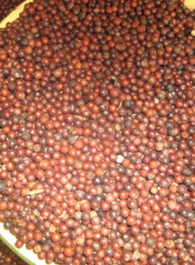 野生中药材枕头枕芯填充物