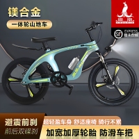 凤凰儿童自行车 镁合金山地车中大童8-15岁男女孩24寸小学生单车