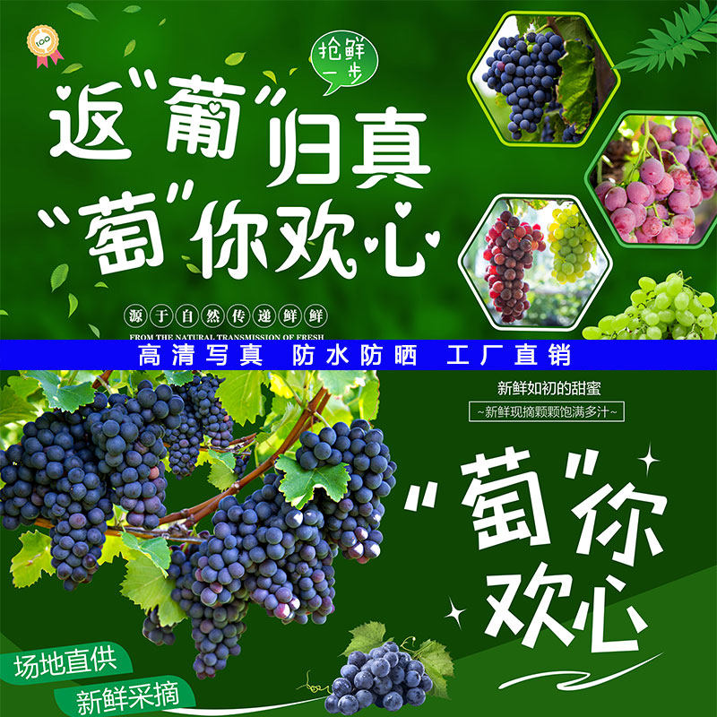 葡萄熟了店铺布置网红墙贴纸超市水果店墙面装饰贴画新鲜水果海报