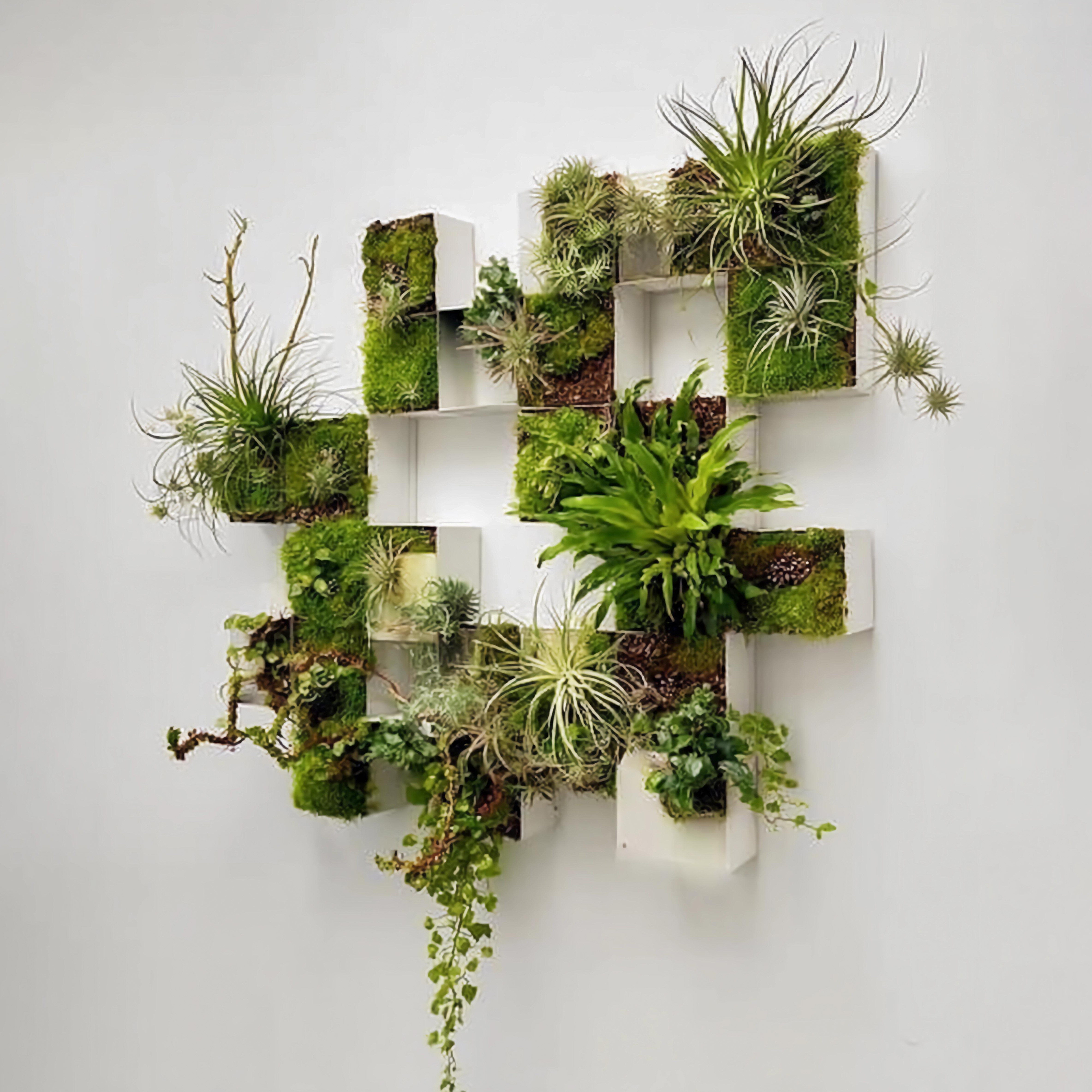 永生苔藓装饰画相框挂画异型壁挂式植物墙仿真绿植酒店民宿微景观图片