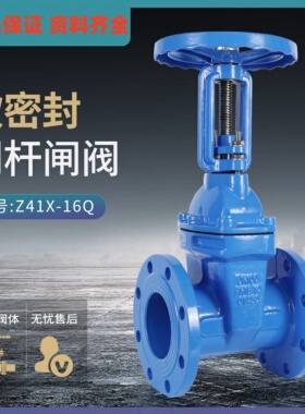 上海沪工阀门良工Z41X明杆软密封闸阀泵房自来水消防法兰球墨铸铁