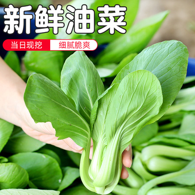 农家现挖油菜300g新鲜