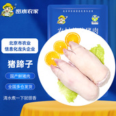 新鲜带筋整只猪蹄猪蹄子 猪爪 猪手 密水农家 猪脚 冷鲜猪肉前蹄