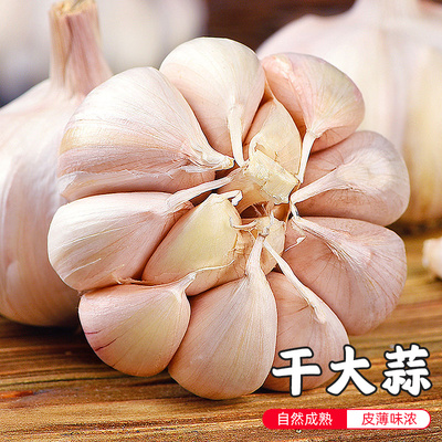 农家新鲜自种干大蒜多掰蒜300g