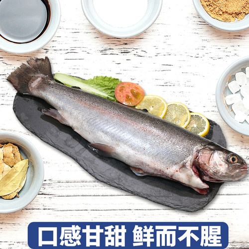 密水农家 水库虹鳟鱼 鲜活捕捞及时发货 食用水产 约1000g