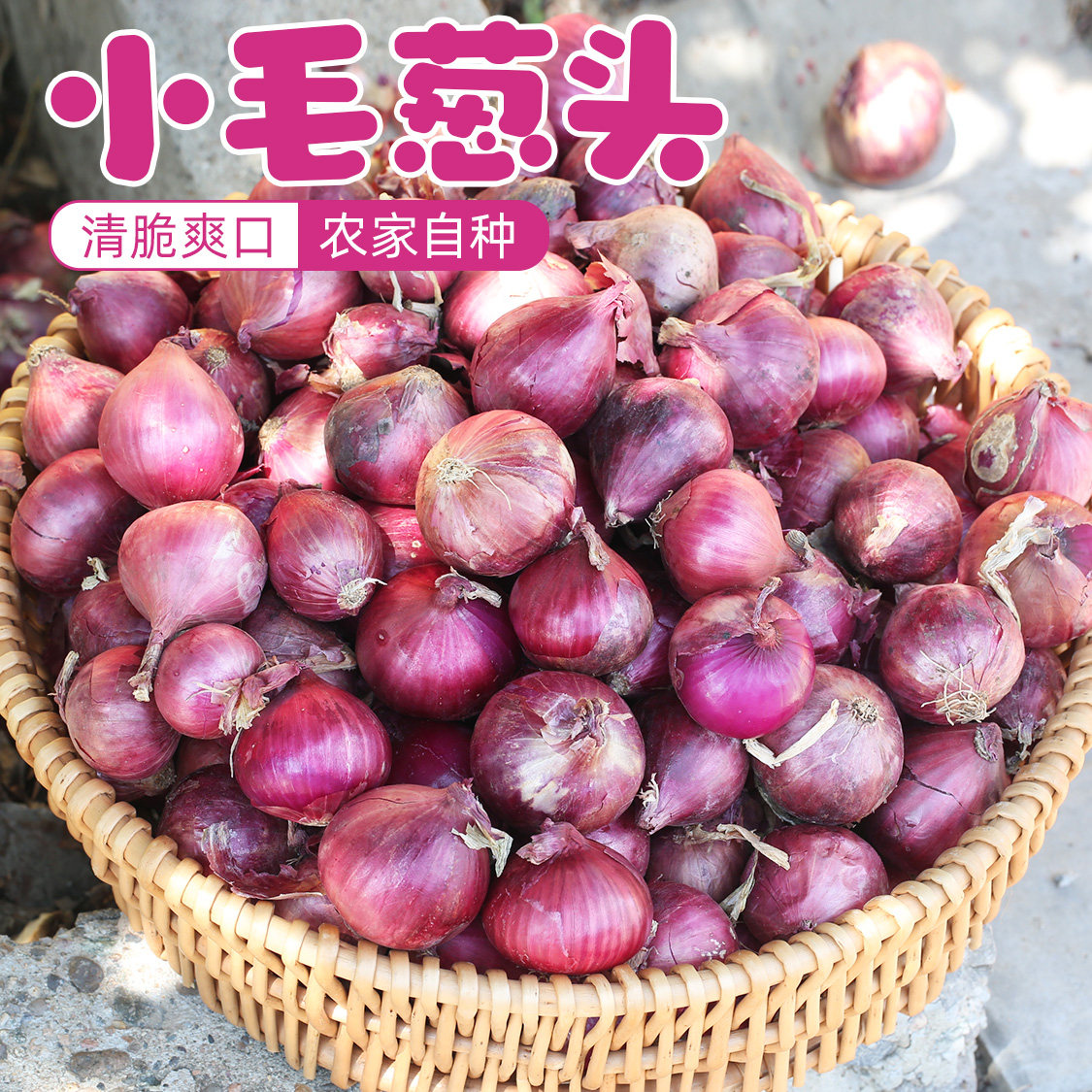 密云农家自种小毛葱头5斤 农家圆洋葱头 小葱头新鲜蔬菜 紫皮洋葱