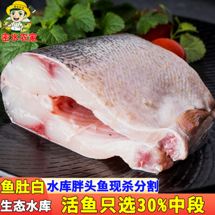 密水农家 水库鱼 胖头鱼 鲜切鱼肚白 冰鲜鱼肉 生鲜300g*3盒