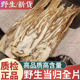 正品 野生当归压片新货中药材500g正宗甘肃当归头当归全片全当归片