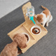 陶瓷猫碗狗碗双碗防打翻倾斜护颈狗盆宠物饮水器自动喝水水壶大型