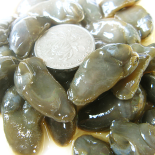 5A黄泥螺醉泥螺大个头无沙无泥脆宁波舟山海鲜特产260g瓶装包邮