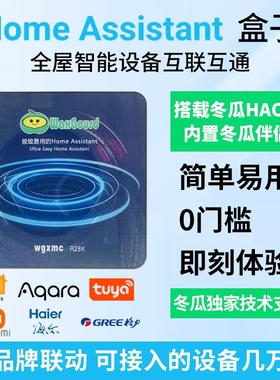 新机型HomeAssistant盒子RK3528智能家居网关homekit助理X88pro13